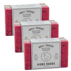 Label Provence - Doppelseitige Peeling-Seife mit französischer Seife – Für Weichmacher, Befeuchtung und Pflege für alle Hauttypen – Duft Rotwein- und Eselmilch – 125 g – 3er-Set von Label Provence
