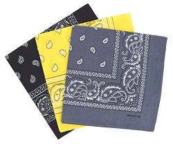 Set 3 bandanas paisley damen und herren 57x57cm von Laciteinterdite