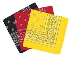 Set 3 bandanas paisley damen und herren 57x57cm von Laciteinterdite