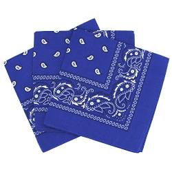 Set 3 bandanas paisley damen und herren blau von Laciteinterdite