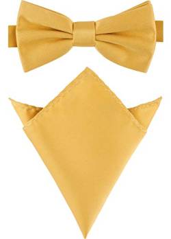 Ladeheid Herren Schmale Fliege & Einstecktuch Set M/P (12cm x 6cm, 22cm x 22cm, Gold) von Ladeheid