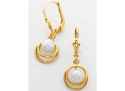 Paar Ohrhänger LADY Ohrringe Gr. Perle ct, Perlen, goldfarben (gelbgold 375) Damen Ohrhänger von Lady