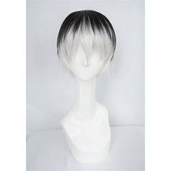 LanTing Cosplay Perücke Tokyo Ghoul Sasaki Haise black mix white Perücke Corta Cosplay Party Fashion Anime Human Costume Full wigs Synthetic Haar Heat Resistant Fiber von LanTing