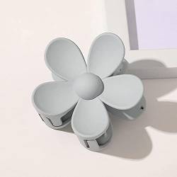 Nette Blume Kralle Clip Haarclips für Frauen Mädchen Kinder, 2/10 Pcs Große Matte Haar Kiefer Clips Teen Mädchen Trendy Stuff Haarclips Für Dicke Haar Zubehör Geschenke (Color : Gray*2PCS, Size : On von LaoSShu