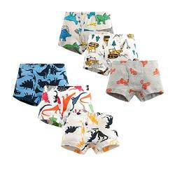 LeQeZe Jungen Boxershorts Unterhosen 6er-Pack Kinder Unterhose Dinosaurier Baumwolle Unterwäsche Größe 116 von LeQeZe