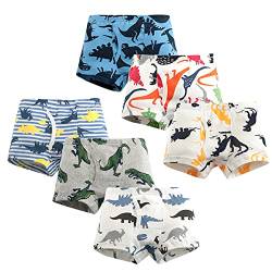 LeQeZe Jungen Boxershorts Unterhosen 6er-Pack Kinder Unterhose Dinosaurier Baumwolle Unterwäsche Größe 146 von LeQeZe