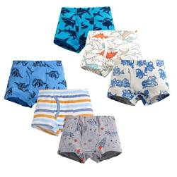 LeQeZe Kinder Jungen Unterhosen 6er-Pack Boxershorts Baumwolle Größe 116 (Boys Dinosaur Mix 6,Manufacturer Size:120) von LeQeZe