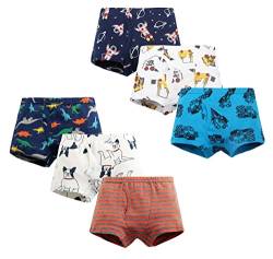 LeQeZe Kinder Jungen Unterhosen 6er-Pack Boxershorts Baumwolle Größe 146 (Boys Dinosaur Mix 5,Manufacturer Size:150) von LeQeZe