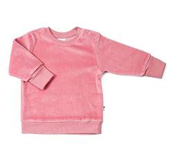 Leela Cotton Baby Kinder Nicky Sweatshirt Bio-Baumwolle 6 Farben Wählbar Jungen Mädchen Langarmshirt T-Shirt Gr. 62/68 bis 116 (116, Altrosa) von Leela Cotton