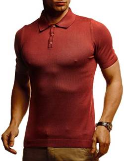 Leif Nelson Herren Polo Shirts Sommer T-Shirt Poloshirt Slim Fit aus Feinstrick Cooles Basic Männer Polo-Shirt Jungen Kurzarmshirt Sweater Kurzarm LN7400 Rot Braun X-Large von Leif Nelson