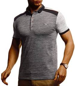 Leif Nelson Herren Sommer T-Shirt Poloshirt Slim Fit Cooles Basic Männer Polo-Shirt Crew Neck Jungen Kurzarmshirt Polo Shirt Sweater Kurzarm LN55190 Anthrazit XX-Large von Leif Nelson