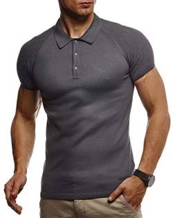 Leif Nelson Sommer Poloshirt Kurzarm Herren T-Shirt Kragen (Grau, Größe L) - Casual Männer Poloshirts lang Feinstrick - Polo Shirt for Men Tshirt von Leif Nelson