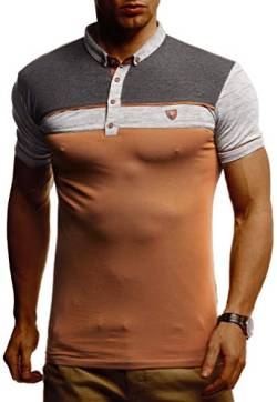 Leif Nelson Sommer Poloshirt Kurzarm Herren T-Shirt Kragen (Grau, Größe M) - Coole Männer Poloshirts lang Baumwolle - Polo Shirt for Men Tshirt von Leif Nelson