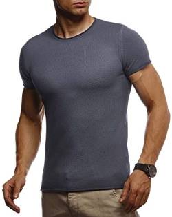 Leif Nelson T-Shirt Herren Sommer Rundhals-Ausschnitt Feinstrick (Grau, Größe S) Regular Fit Herren-T-Shirt Rundkragen, Basic Männer T-Shirt Kurzarm von Leif Nelson