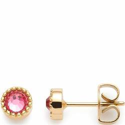 Leonardo Jewels Anka Damen Ohrstecker Set aus Edelstahl IP Gold mit pinkfarbenem Preciosa Kristall, Durchmesser 0,5 cm, Schmuck Geschenk für Frauen 023233 von Leonardo Jewels