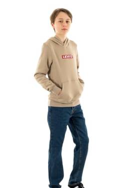 Levi's Kids Jungen LVN BOXTAB Pullover 9EJ761 Hoodie, Rusty Aluminum, 12 Years von Levi's