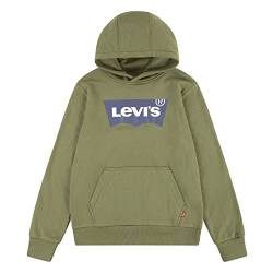 Levi's Kids Lvb batwing pullover hoodie Jungen 10 Jahre Loden Greene von Levi's