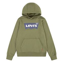 Levi's Kids Lvb batwing pullover hoodie Jungen 8 Jahre Loden Greene von Levi's