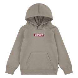 Levi's Kids Lvn boxtab pullover hoodie Jungen Rusty Aluminum von Levi's