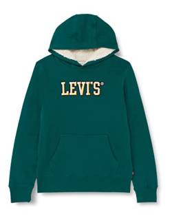 Levi's Kids sherpa lined pullover hoodie Jungen Forest Biome 8 Jahre von Levi's
