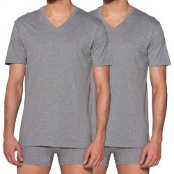 LEVI'S 2-er Set V-Neck T-Shirts grau von Levis