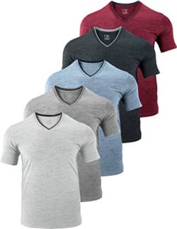 5er-Pack Herren-T-Shirts mit V-Ausschnitt, Dry Fit, Active Athletic Kurzarm Workout Tops, Performance Gym Tees (erhältlich in Übergröße), Heather Grays/Hellblau/Schwarz/Kastanienbraun, 4X-Groß von Liberty Pro