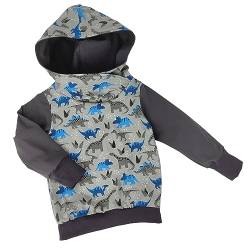 Lilakind“ Kinder Pullover Jersey Hoodie Sweater Kapuze Dinosaurier Grau Blau Ärmel Grau Gr. 116/122 - Made in Germany von Lilakind