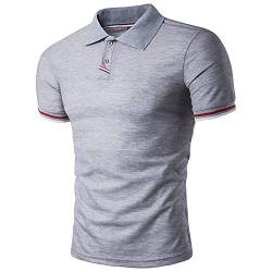 Linarun Poloshirt Herren Kurzarm Polohemd aus 100% Baumwolle Herren Regular Fit Polo mit Knopfleiste (M, Grau) von Linarun