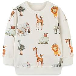 Little Hand Baby Jungen Sweatshirt Kinder Warme Pullover Streetwear Oberbekleidung 122 von Little Hand