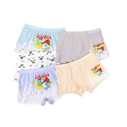 Little Hand Jungen Boxer bébé garçon Sous-vêtements Enfants 5 pièces Boxershorts, Bunt Dinosaurier #2, 4-5 Jahre von Little Hand