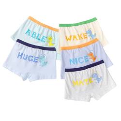 Little Hand Jungen Boxer bébé garçon Sous-vêtements Enfants 5 pièces Boxershorts, Dinosaurier Nice, 5-6 Jahre von Little Hand