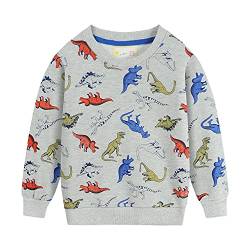 Little Hand Jungen Pullover Kinder Sweatshirt Dinosaur Jumper Sweater Baumwolle Langarm T Shirts 104 von Little Hand