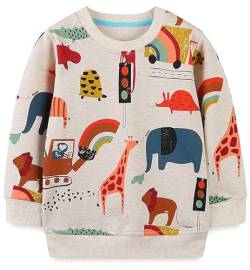 Little Hand Jungen Pullover Kinder Sweatshirt Dinosaur Jumper Sweater Baumwolle Langarm T Shirts 116 von Little Hand