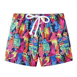 Little Hand Jungen Schnell trocknende Badeshorts Board Shorts, Couleur 1, 4-5 Jahre von Little Hand