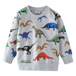 Little Hand Jungen Sweatshirt Jumper für Kinder Sweater Dinosaur Baumwolle Langarm T Shirts Pullover 104 /HerstellerGröße: 110 von Little Hand