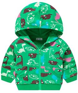 Little Hand Kids Hooded Jungen Pullover Dinosaurier Sweat Shirt Hooded Sweatshirt Headwear Jacke 116 von Little Hand