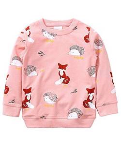 Little Hand Mädchen Sweatshirt für Kinder Baumwolle Top Casual Jumper Kleinkind Langarm Pullover, 104 / HerstellerGröße: 100, 1-rosa von Little Hand
