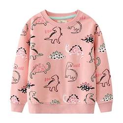 Little Hand Mädchen Sweatshirt für Kinder Baumwolle Top Casual Jumper Kleinkind Langarm Pullover 104 von Little Hand