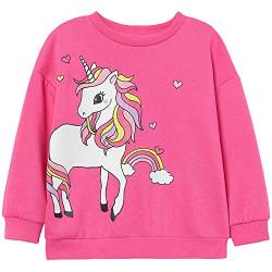 Weihnachten Mädchen Sweatshirt für Kinder Baumwolle Top Casual Jumper Mädchen T Shirt Kleinkind Kleidung Langarm Pullover Winter Frühling Alter 2-7 Jahre (Einhorn 1, 92) von Little Hand