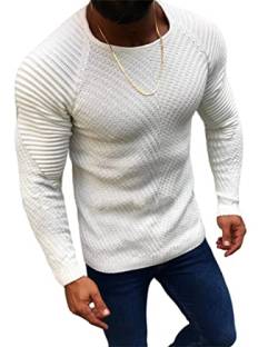 LiuPinp Pullover Herren Frühling Sommer Rundhals Herren Strick Normale Passform Grundlegend Einfarbig Modisch Langarm Herren Sweatshirt Fitness Stretch Sweater Herren A-White L von LiuPinp