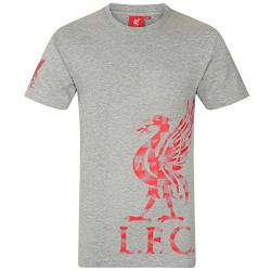 Liverpool FC - Herren T-Shirt mit Printmotiv - Offizielles Merchandise - Grau mit Logo auf dem Ärmel - L von Liverpool FC