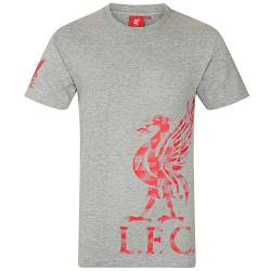 Liverpool FC - Herren T-Shirt mit Printmotiv - Offizielles Merchandise - Grau mit Logo auf dem Ärmel - M von Liverpool FC