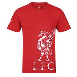 Liverpool FC - Herren T-Shirt mit Printmotiv - Offizielles Merchandise - Rot - Logo am Ärmel - L von Liverpool FC