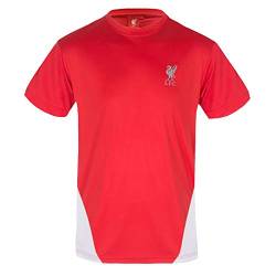 Liverpool FC - Herren Trainingstrikot aus Polyester - offizielles Merchandise - Geschenk für Fußballfans - Rot/Weiß - M von Liverpool FC