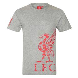 Liverpool FC - Kinder T-Shirt mit Grafik-Print - Offizielles Merchandise - Geschenk für Fußballfans - Grau - 12-13 Jahre von Liverpool FC