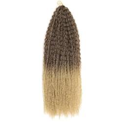 20-28 Zoll afrikanisches lockiges Häkeln geflochtenes Haar Ombre geflochtene Haarverlängerungen Frauenhaar von Lmtossey