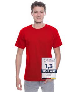 Logostar Basic Bigsize T-Shirt | Übergrösse Shirt 3XL - 15XL | Herren T Shirt in Übergröße aus Baumwolle mit Rundhals | Red, 3XL von Logostar