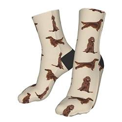 Lsjuee Irish Setter Simple Dog Breed Athletic Socks Sport Running Wadensocken Performance Gepolsterte Atmungsaktive Crew-Socken für Männer und Frauen von Lsjuee