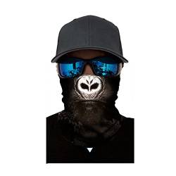 Lulupi Halstuch Unisex Multifunktionstuch Schlauchtuch Atmungsaktiv Mund Tuch Face Shield, Schlauchschal Motorrad Fahrrad Joggen Gesichtsmaske Halsschlauch Ugly Lustig Schal Maske von Lulupi