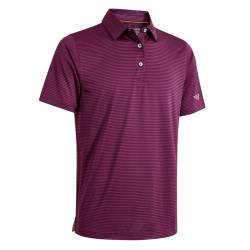 Herren-Golf-Poloshirt, kurzärmelig, gestreift, feuchtigkeitsableitend, trockene Passform, Golf-Shirts für Herren, Kastanienbraun gestreift, 4X-Groß von M MAELREG